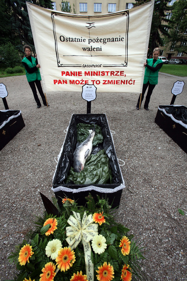 GREENPEACE - pogrzeb waleni