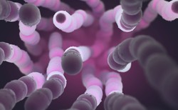 Jak uniknąć zarażenia pneumokokami? Co to za bakterie?