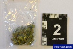 Znęcał się nad rodziną. W dniu 19. urodzin został aresztowany