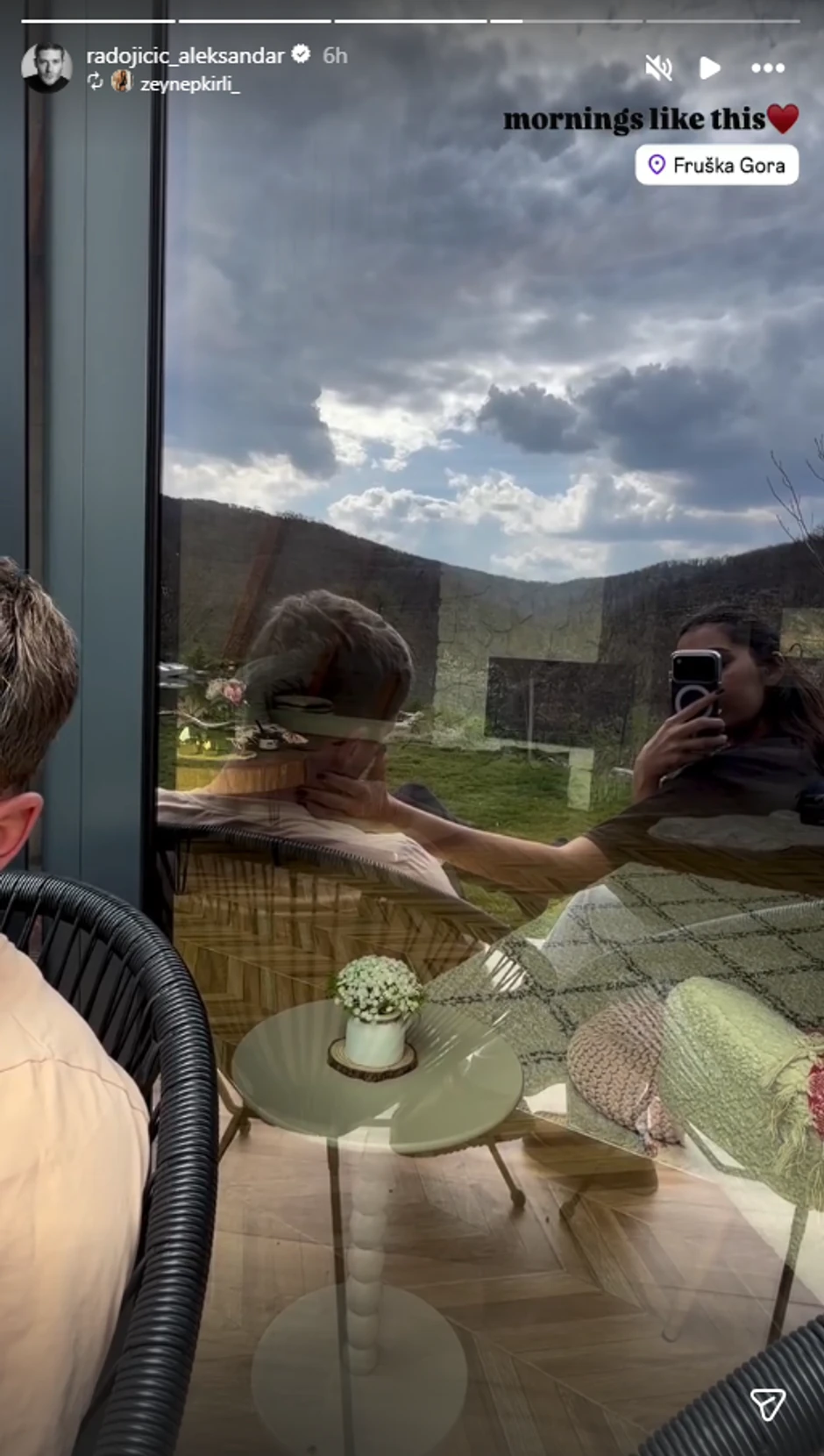 Aleksandar Radojičić, objava