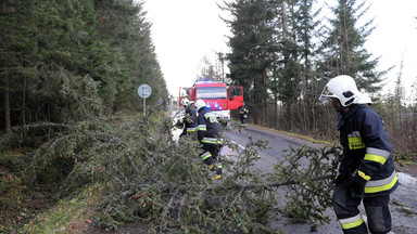 Halny w Tatrach: strażacy usuwają powalone drzewa
