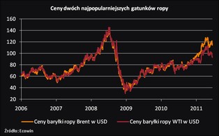 Raport z rynku ropy naftowej: ceny czarnego złota będą nadal spadać