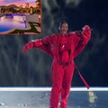 Rihanna wynajęła dom na tydzień za 500 tys. dol. Właścicielowi starczy na dwa lata spłaty rat