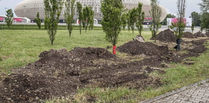 Zniszczona aleja Podróżników