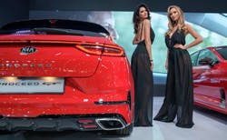 Kia tygrysem polskich dróg. Nowy model rozchwytywany w rekordowym tempie