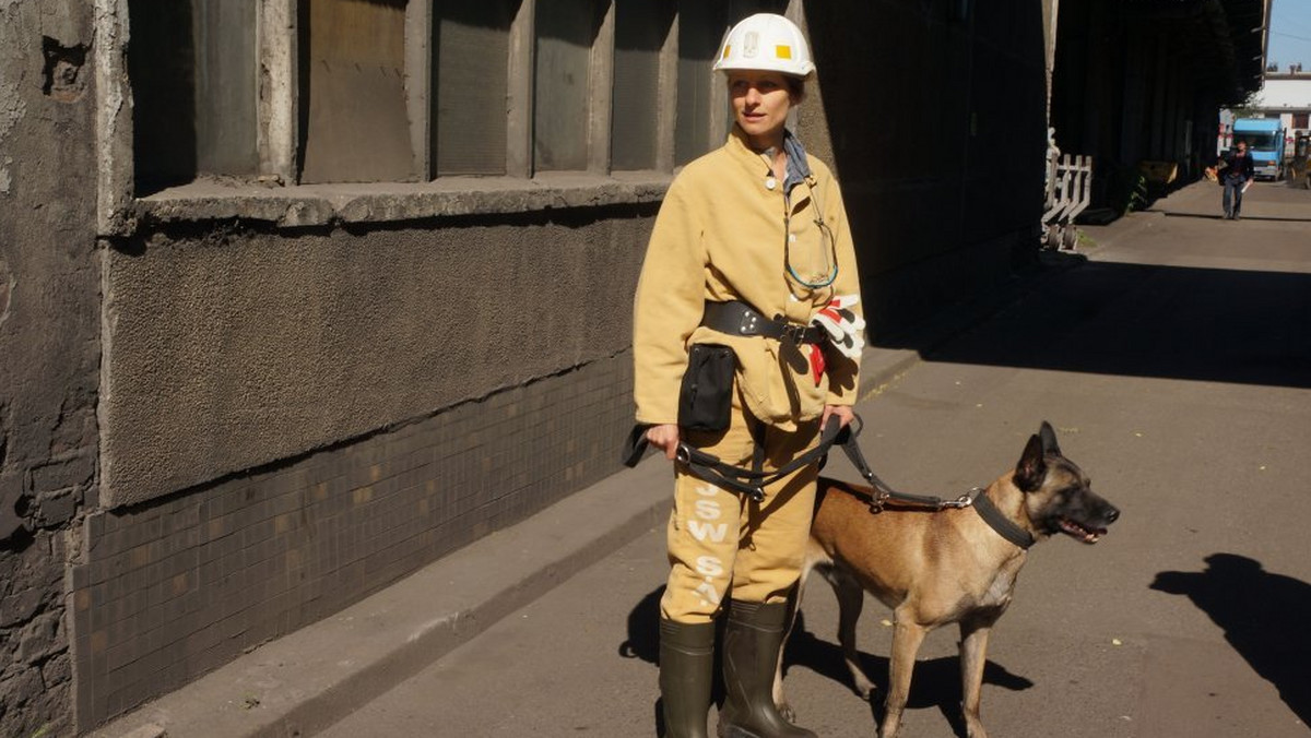 Po raz pierwszy w historii polskiego górnictwa do akcji ratunkowej włączony został policyjny pies. Owczarek belgijski Nero oraz jego przewodniczka Małgorzata Konopko zjechali blisko kilometr pod ziemię, żeby pomóc ratownikom w odnalezieniu ostatniego z górników.