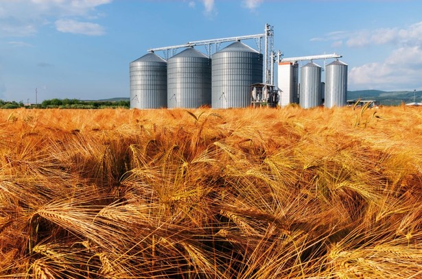 Silos zbożowy