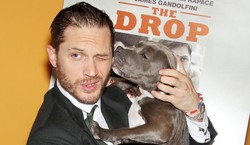 Tom Hardy w komedii romantycznej? Nigdy w życiu!