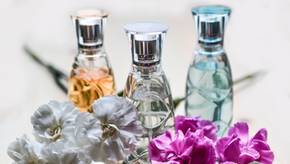 Dezent und elegant: Eau de Cologne Unisex ab 50 Euro im Vergleich