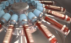 Brawo! Liczba potencjalnych dawców szpiku na świecie szybko rośnie