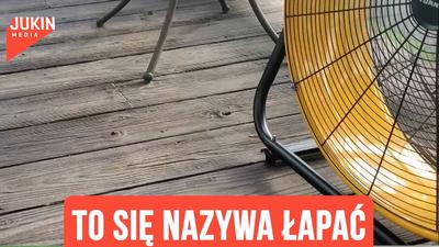 To się nazywa łapać wiatr we włosy!