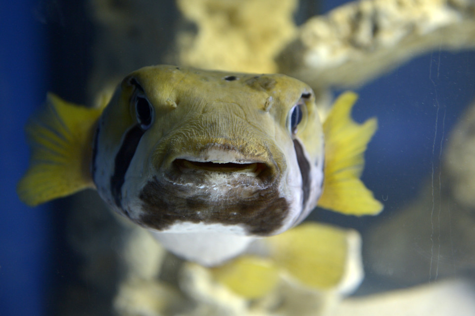 TORUŃ OCEANARIUM I TERARIUM