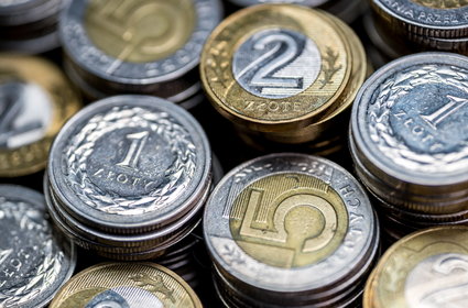 Złoty rozkwita na wiosnę. Najsilniejszy od lat wobec euro