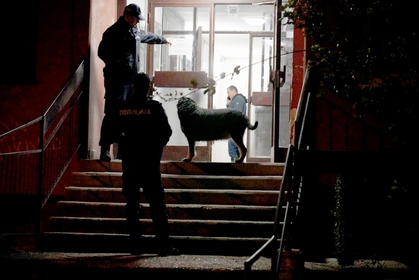 Pas je uspeo da se spasi