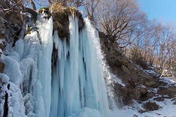 Jelena Trikić i sin