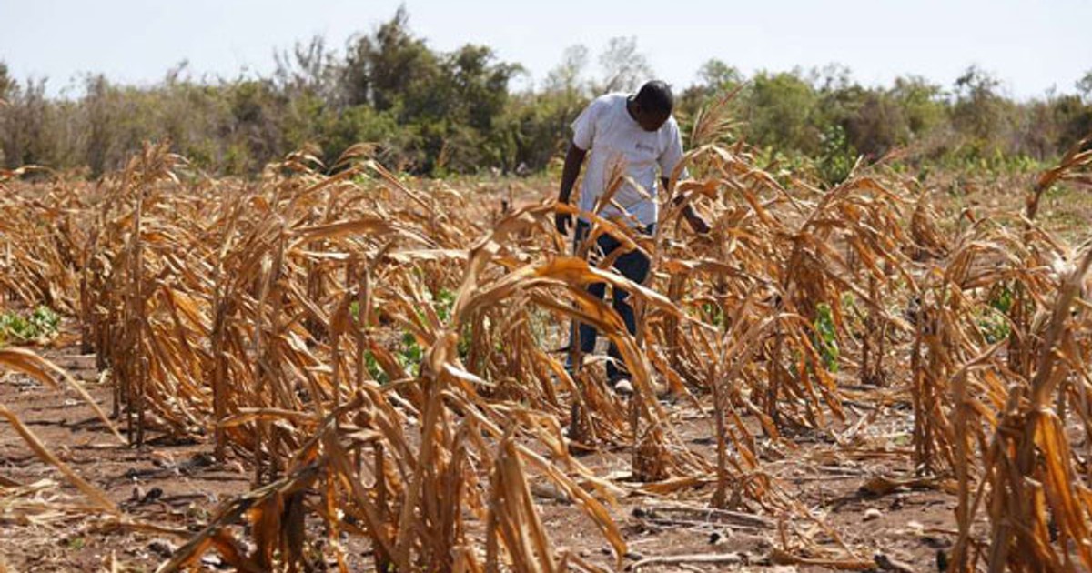 CSOd: Nigeria not on track to end hunger in 2025 - Vimarsana News