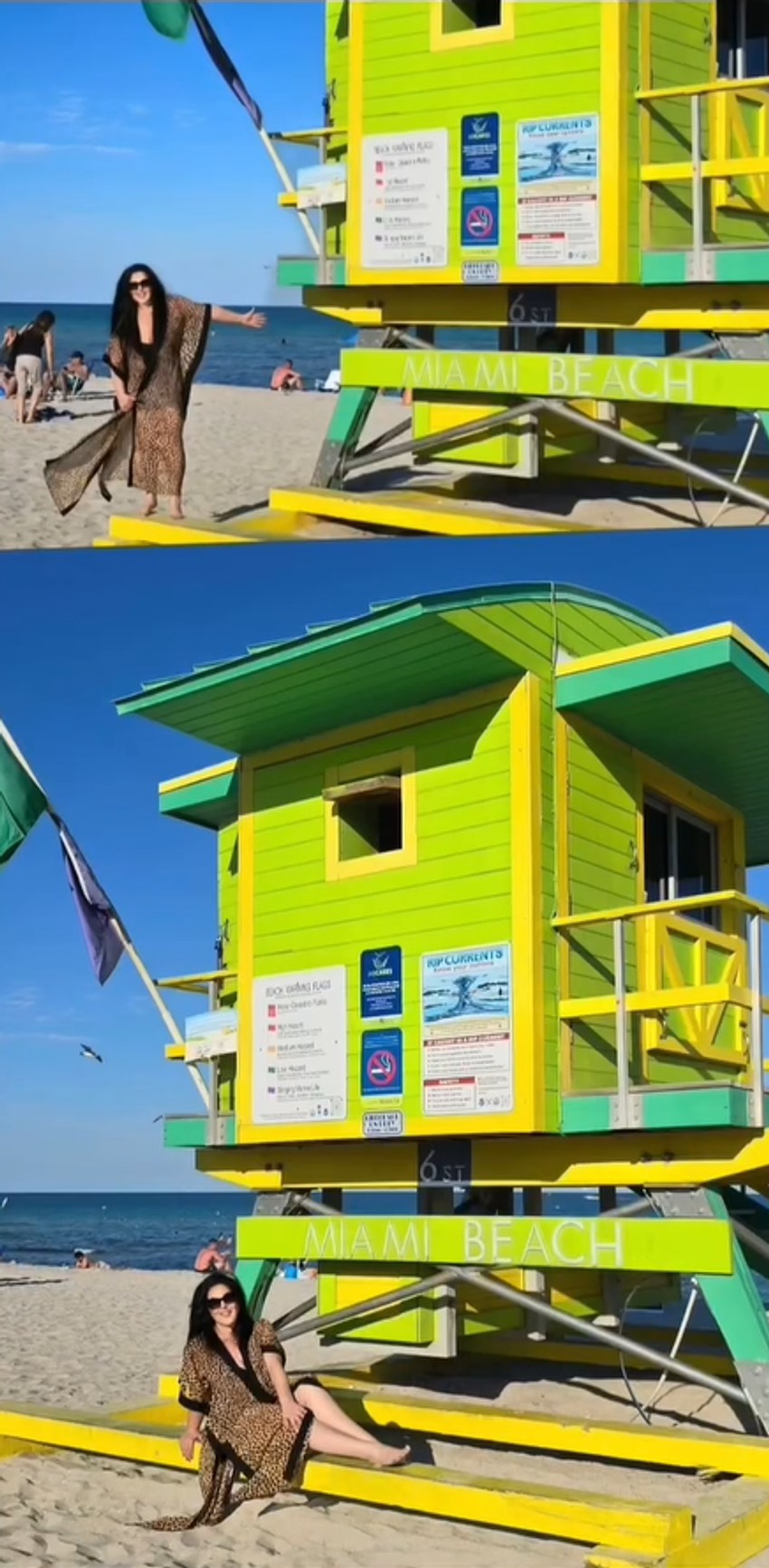 Dragana Mirković, objava