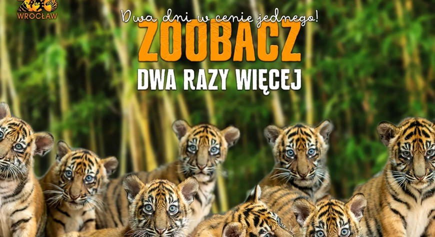 Zoo ma dla Was promocje na ferie. Już można z niej korzystać