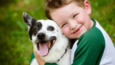 Rasy psów przyjazne dla dzieci. Jakiego psa najlepiej wybrać?