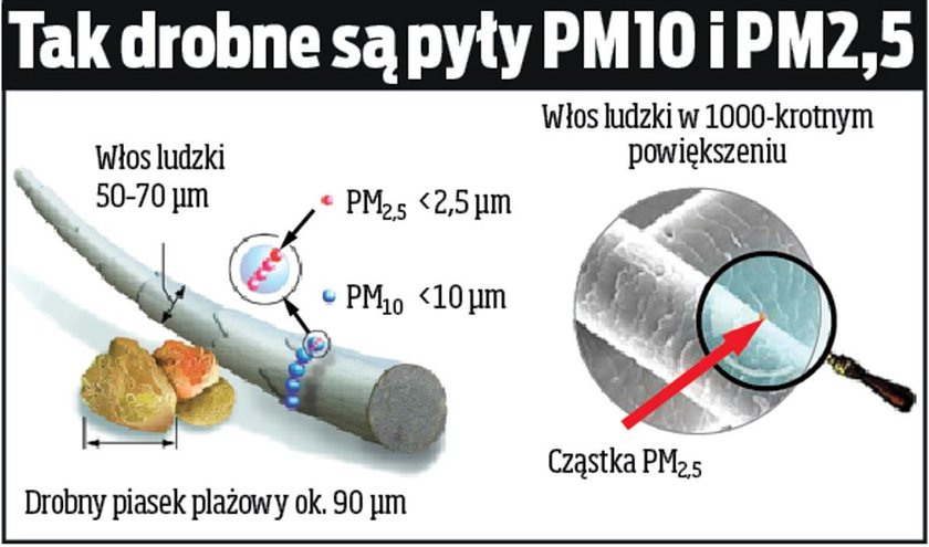 Tak działa pył zawarty w smogu