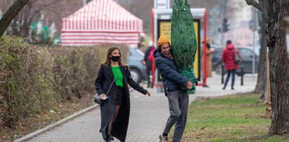 Wieniawa i Rozbicki kupili choinkę. Nie było łatwo. Ale prawdziwe męki zaczęły się, gdy doszli do auta... ZDJĘCIA