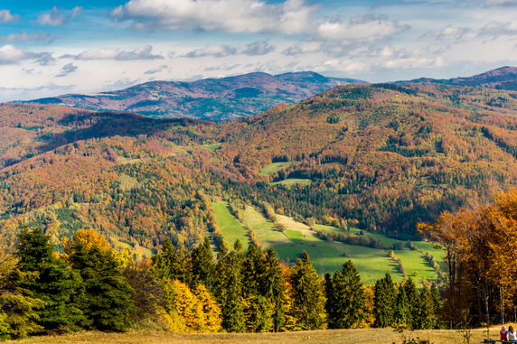 Grzbietem Pasma Stożka i Czantorii, Beskid Śląski