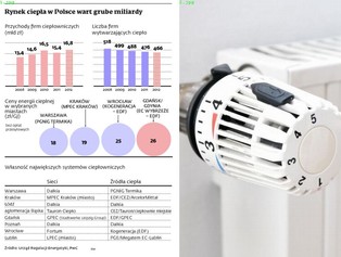 Rynek ciepła w Polsce: branża ma się dobrze nawet w czasie upałów