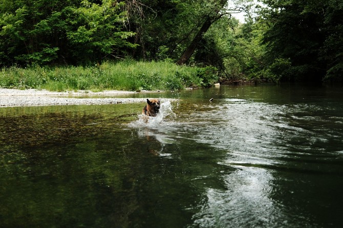 Reka Gradac