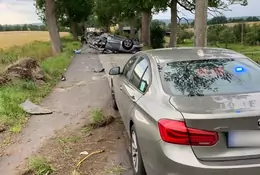 Policyjny pościg za SUV-em Audi zakończony na drzewie [Nagranie]