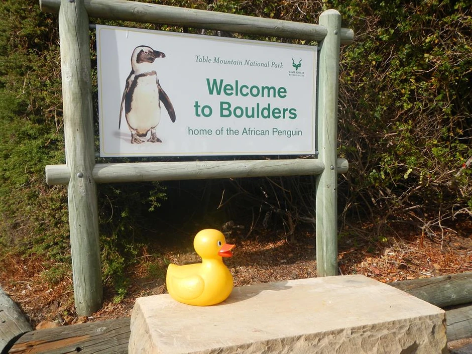 Susrela se i s pernatim rođacima s drugog kraja sveta