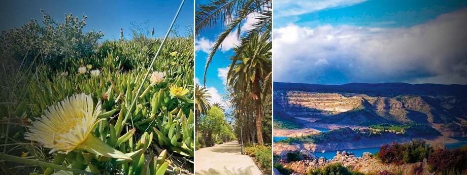 Idylliczne zdjęcia zamieszczane na Instagramie oddają egzotyczne piękno hiszpańskiej przyrody.