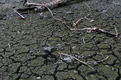 Odszkodowania za suszę w 2019 r. wciąż niewypłacone. Minister prosi o pieniądze z rezerwy na inwestycje