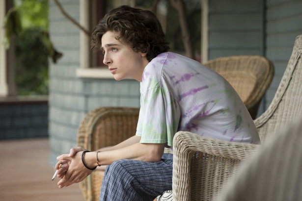 Timothée Chalamet w filmie "Mój piękny syn"