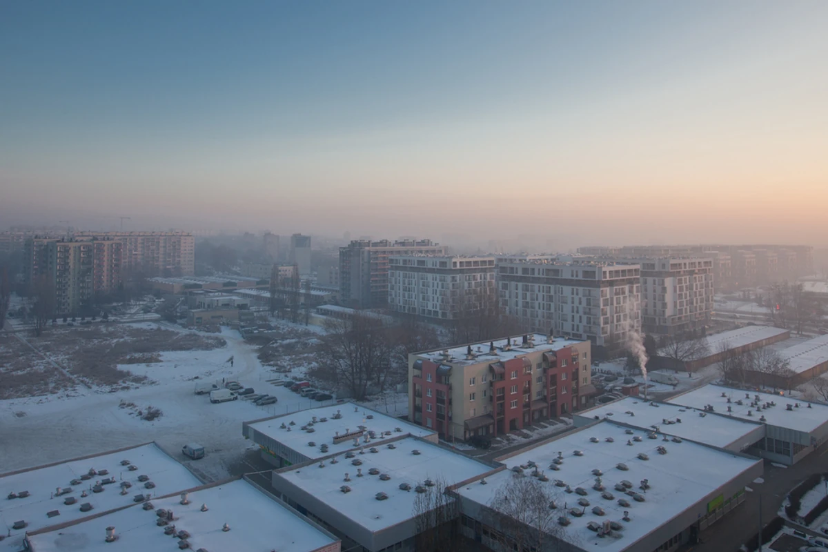 Envenenador silencioso.  El efecto del smog en la salud de los niños