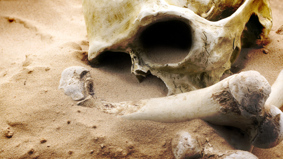 Na giełdzie rolno-ogrodniczej znaleziono kości. Prawdopodobnie ludzkie