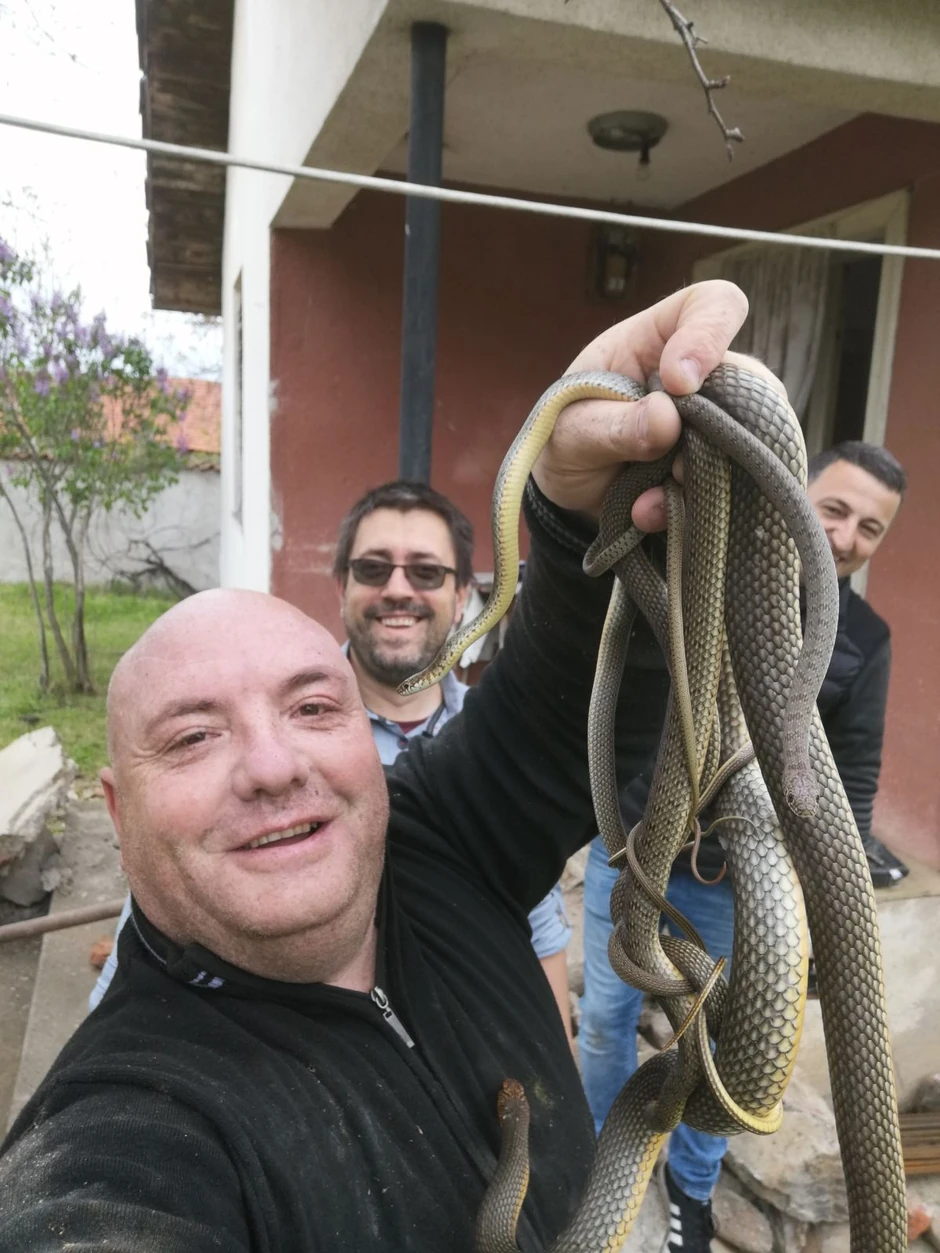Vladica Stanković vadi zmije iz stepeništa