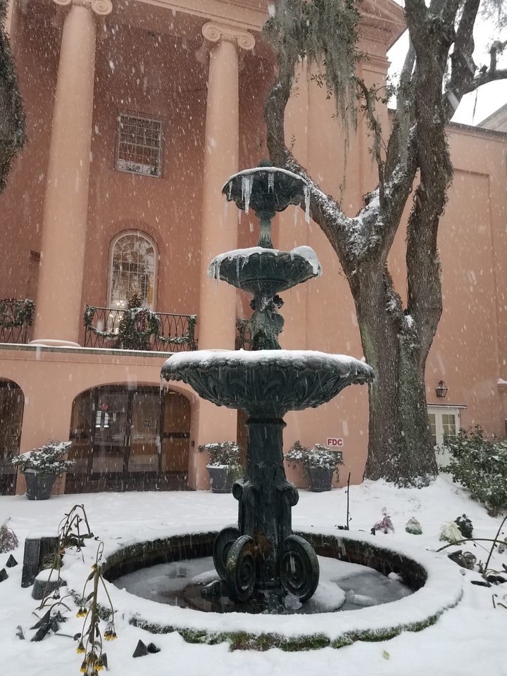 epa06416775 - USA WEATHER SNOWFALL (Southern snowfall in Charleston, South Carolina, USA)