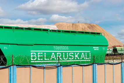 Afera nawozowa na Litwie. Rząd ogłasza koniec tranzytu białoruskich nawozów litewską koleją