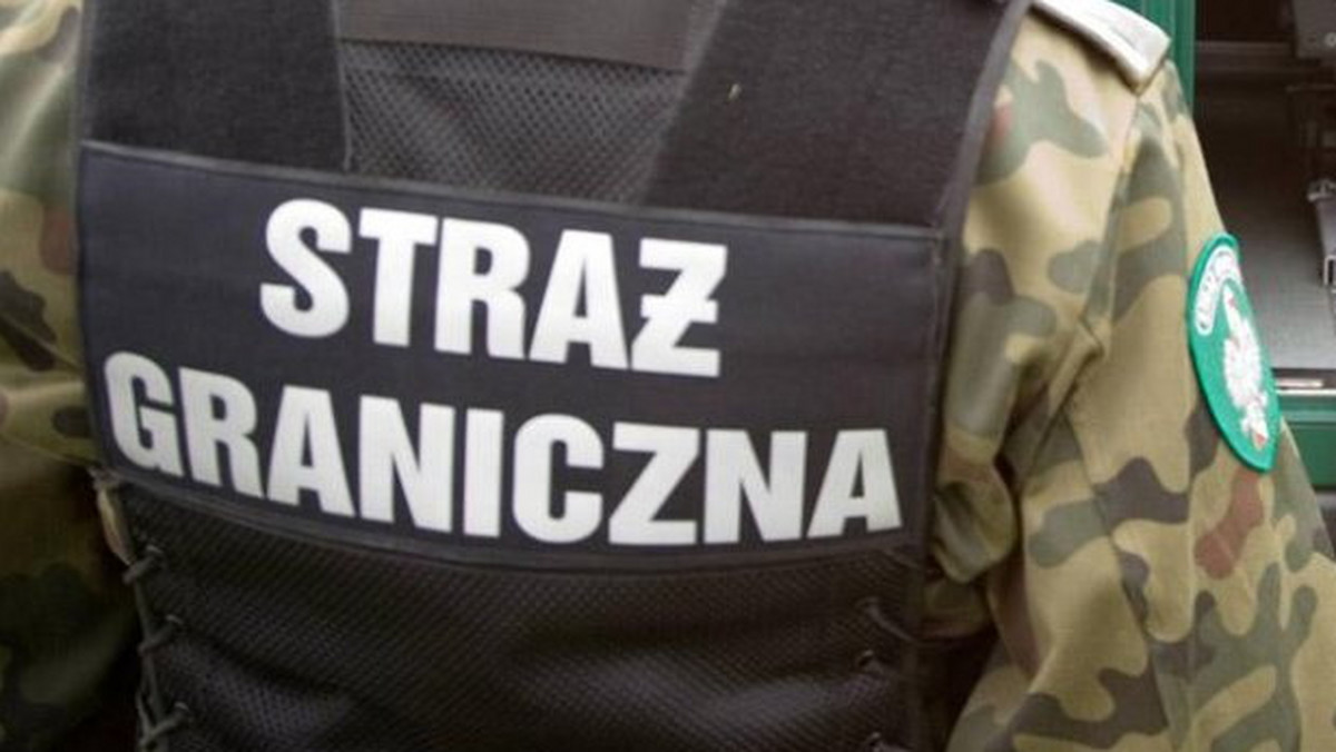 Przy autostradzie A4 patrol Straży Granicznej zatrzymał imigranta, który ukrywał się w zaplombowanej skrzyni ładunkowej TIR-a z Serbii – poinformowała kpt. Katarzyna Walczak ze Śląskiego Oddziału Straży Granicznej.