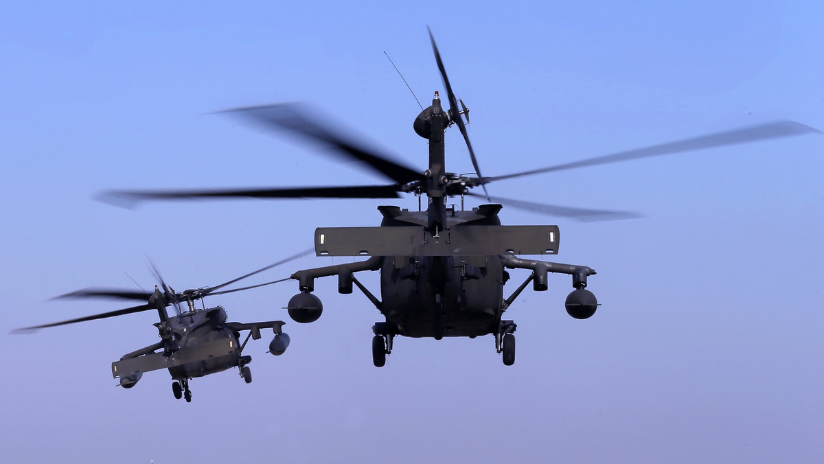 Do bazy wojskowej w Powidzu (Wielkopolskie) trafiły trzy pierwsze śmigłowce Black Hawk – poinformowała rzeczniczka 3. Skrzydła Lotnictwa Transportowego kpt. Martyna Fedro-Samojedny. Kolejne jednostki lotnictwa US Army spodziewane są w najbliższych tygodniach.