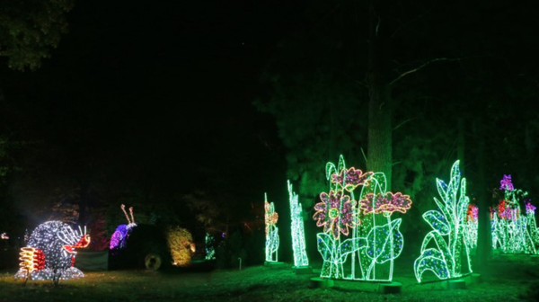 fot. Uniwersytet Przyrodniczy w Poznaniu