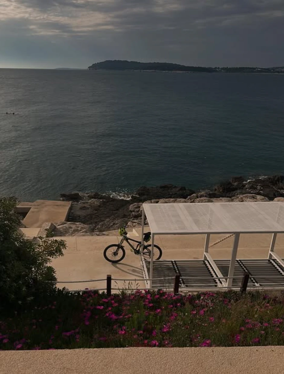 Miloš Biković, objava