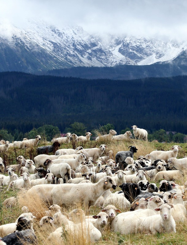 widok na Tatry Wysokie