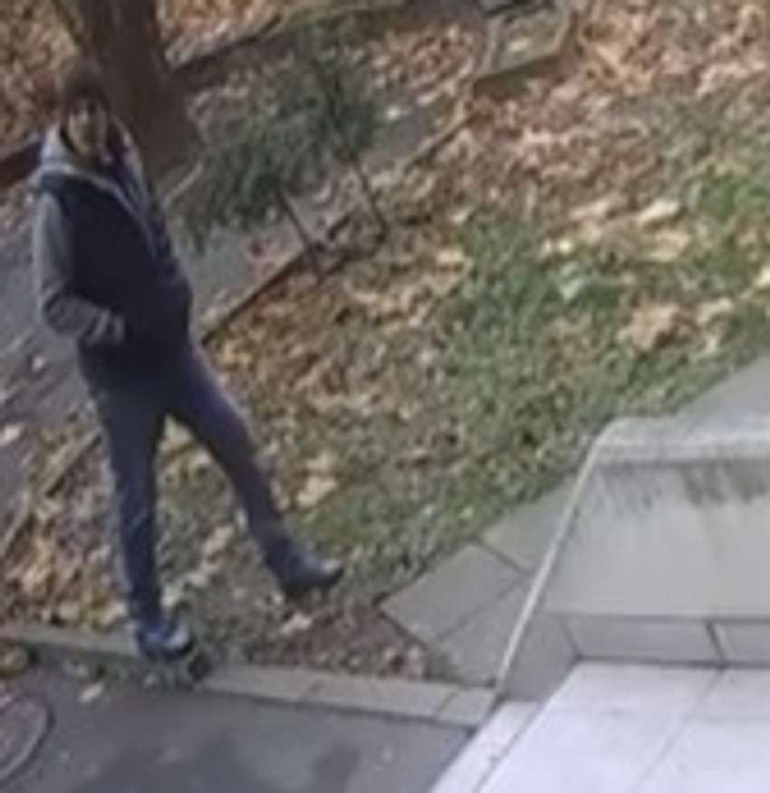 Napadač sa Novog Beograda 