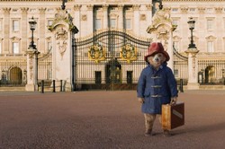 Miś to czy szop? Internauci bezlitośni dla filmowego Paddingtona