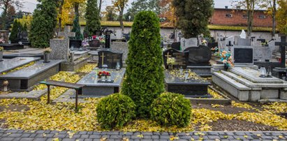 Zobacz, co wyrosło na cmentarnej alei. Kojarzy się z fallusem