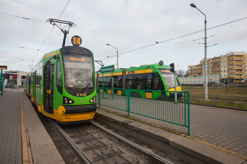 Tramwaje wracają na stałe trasy