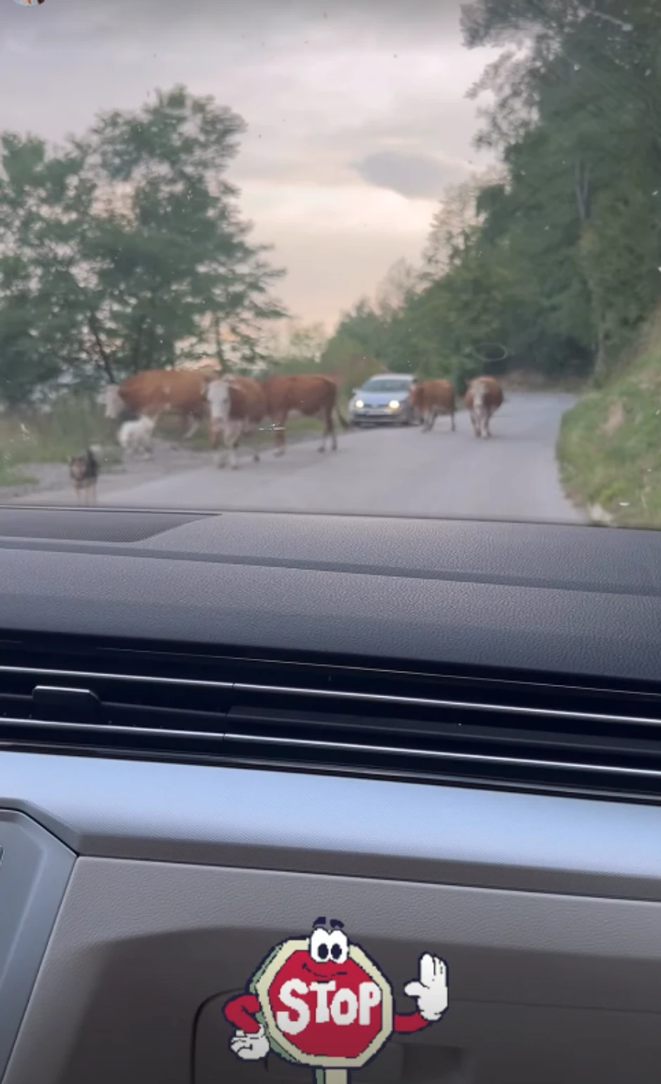 Marija Egelja uživala na selu