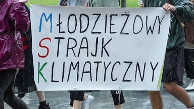 Młodzieżowy Strajk Klimatyczny. Sprawa 17-latka w sądzie, ekolodzy piszą w jego obronie