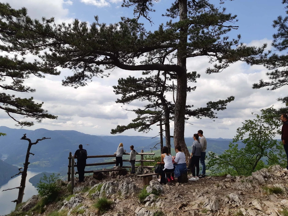 Vidikovac Banjska stena na Tari